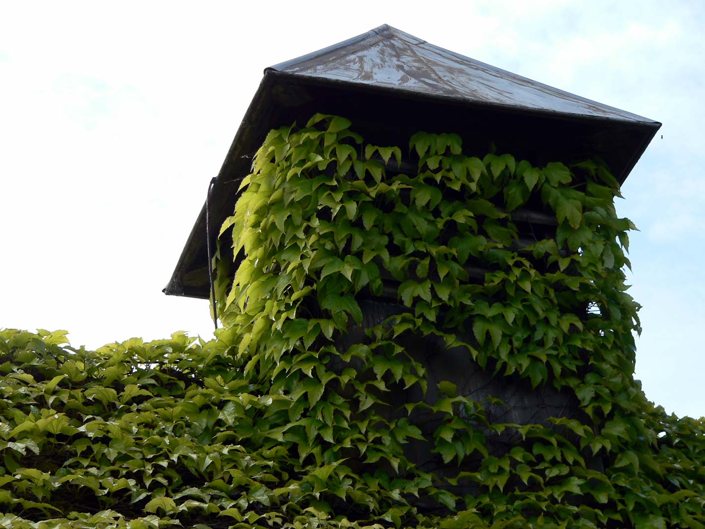P1000616