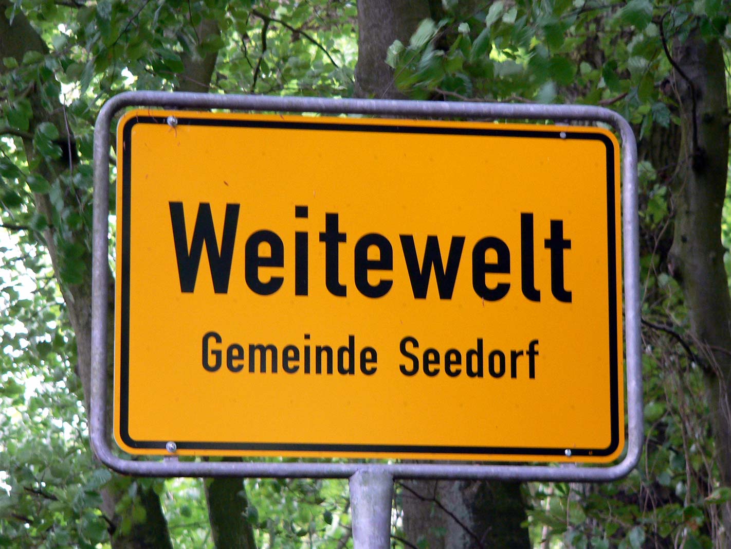 P1000664
