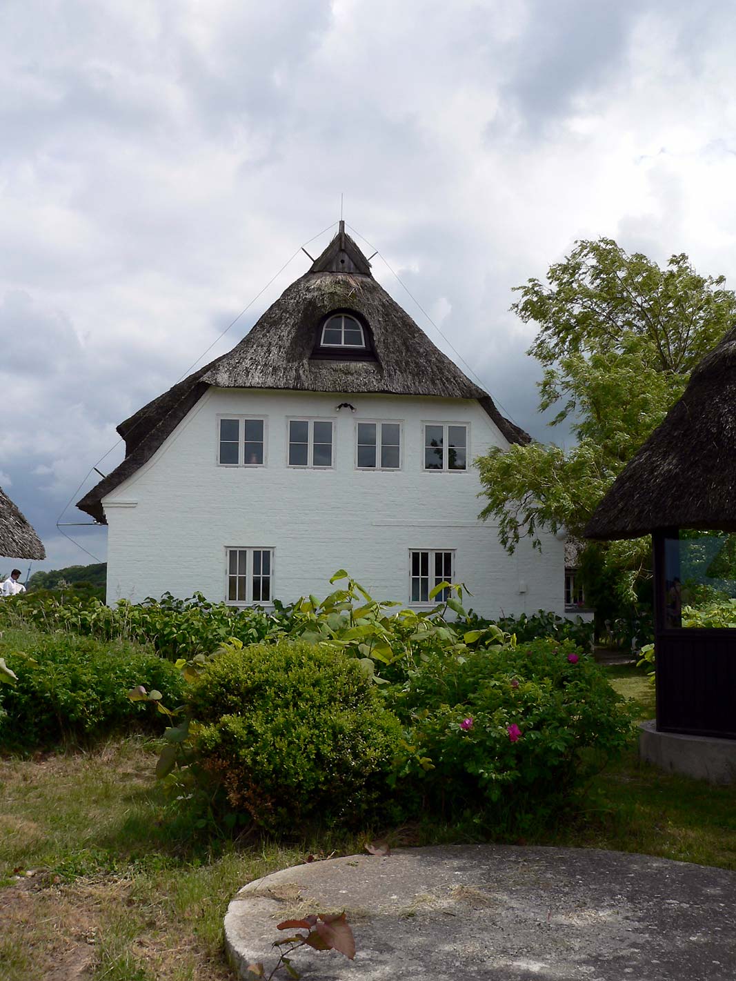 P1000817